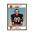 1973 Topps Bobby Joe Green Bears #377