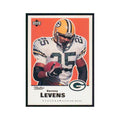 1999 Upper Deck Retro Dorsey Levens Packers #62