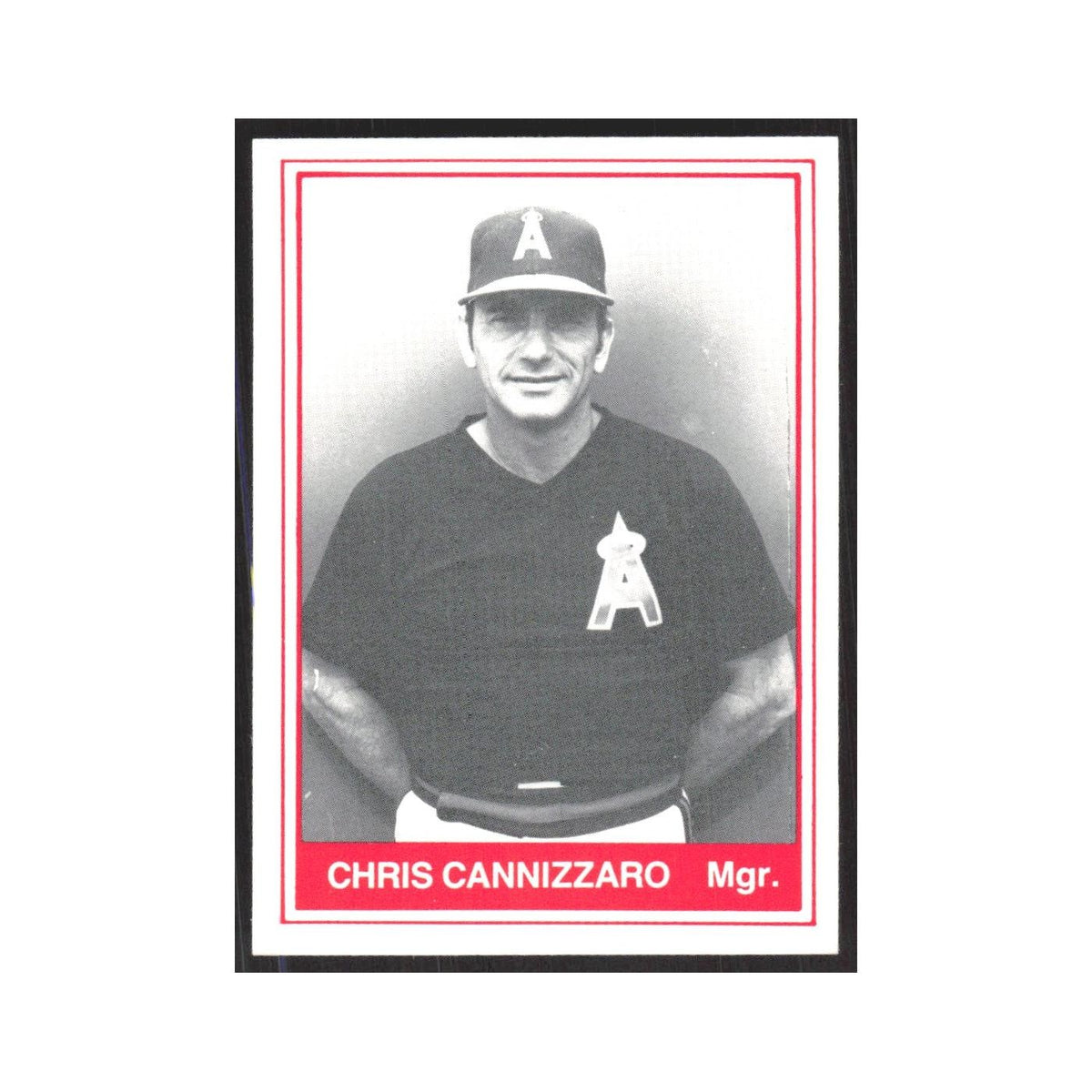 1982 TCMA Minor League Chris Cannizzaro Redwood Pioneers #25