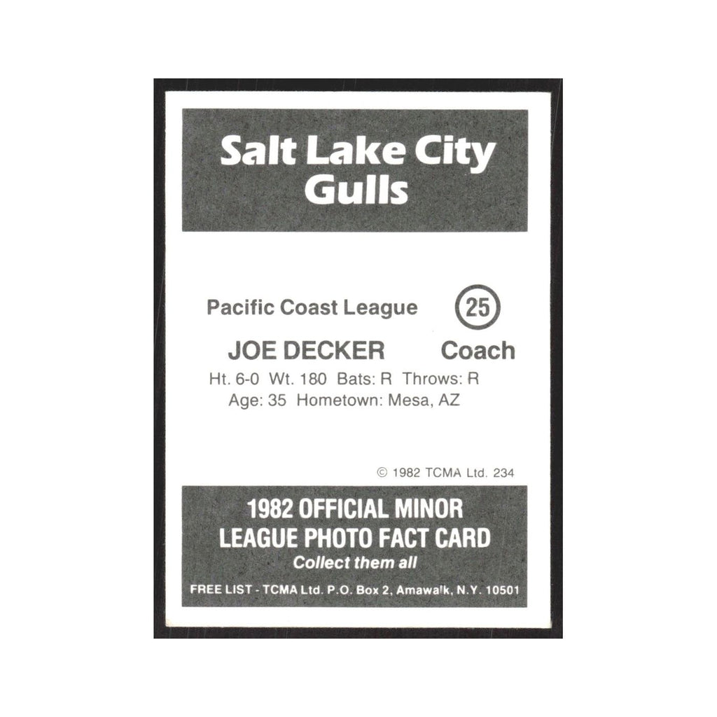 1982 TCMA Minor League Joe Decker Salt Lake City Gulls #25