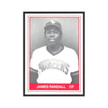 1982 TCMA Minor League James Randall Redwood Pioneers #8