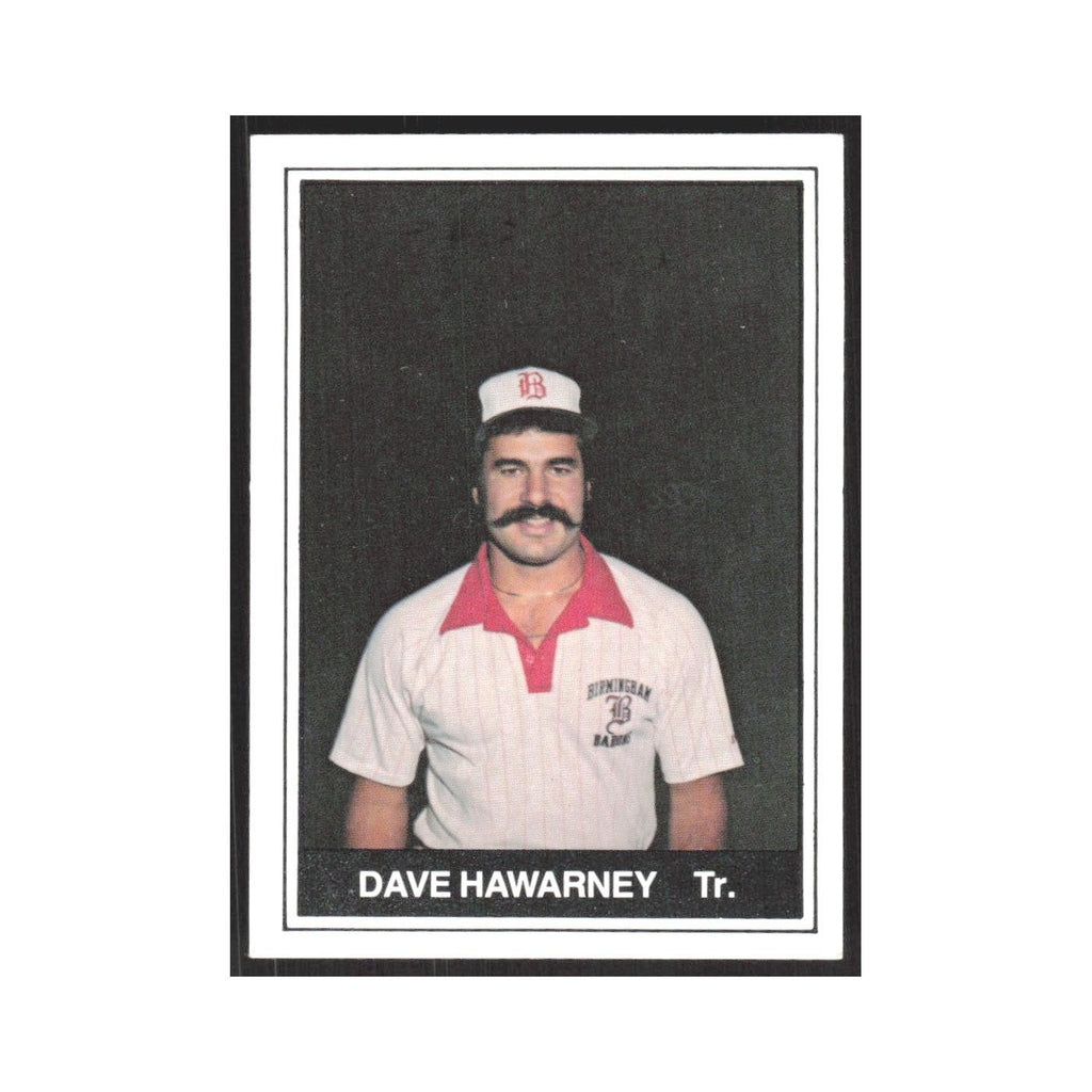 1982 TCMA Minor League Dave Hawarny Birmingham Barons #16