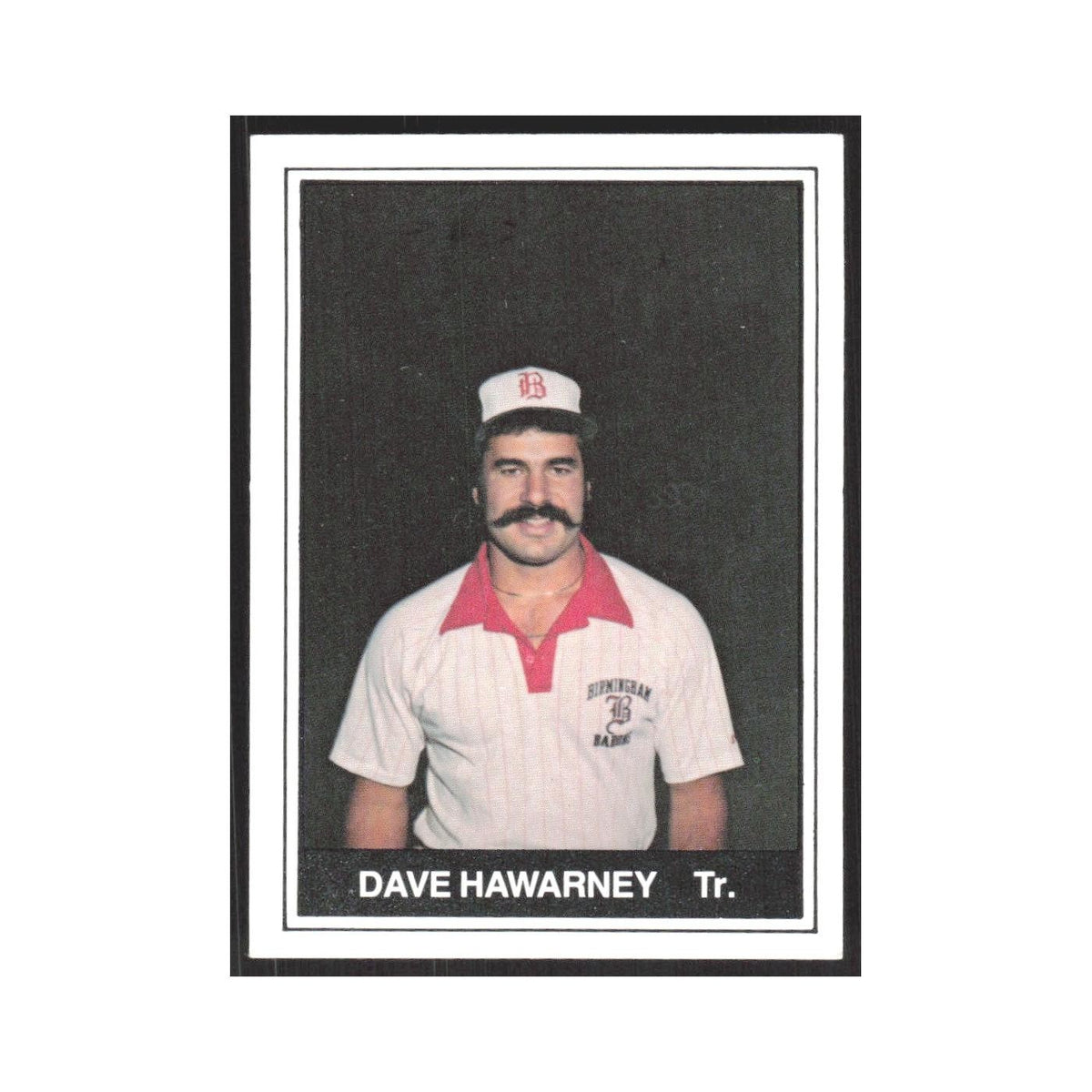1982 TCMA Minor League Dave Hawarny Birmingham Barons #16