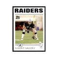 2004 Topps Robert Gallery RC Raiders #318