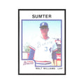 1987 ProCards Minor League Walt Williams Sumter Braves #1352