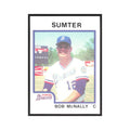 1987 ProCards Minor League Bob McNally Sumter Braves #1353