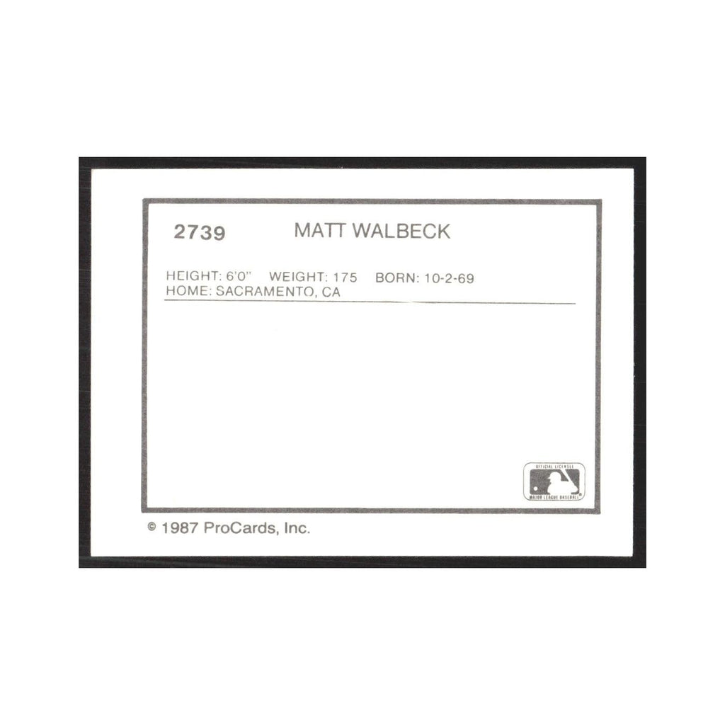 1987 ProCards Minor League Matt Walbeck Wytheville Cubs #2739