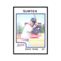 1987 ProCards Minor League Sean Ross Sumter Braves #1375
