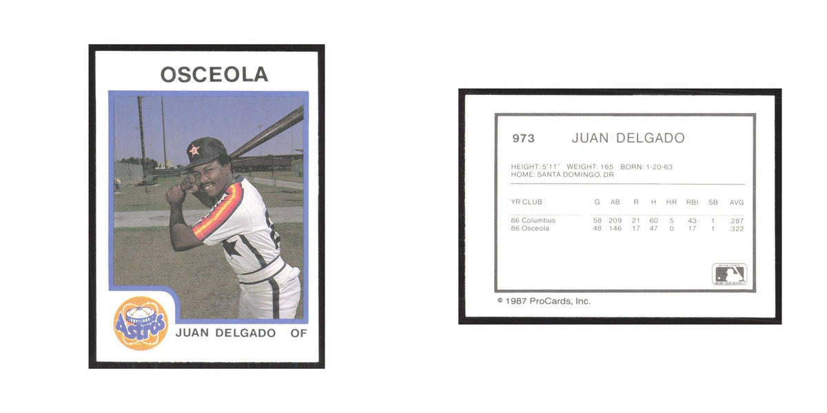 1987 ProCards Minor League Juan Delgado Osceola Astros #973