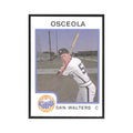 1987 ProCards Minor League Dan Walters Osceola Astros #959