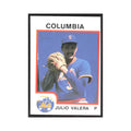 1987 ProCards Minor League Julio Valera Columbia Mets #1648