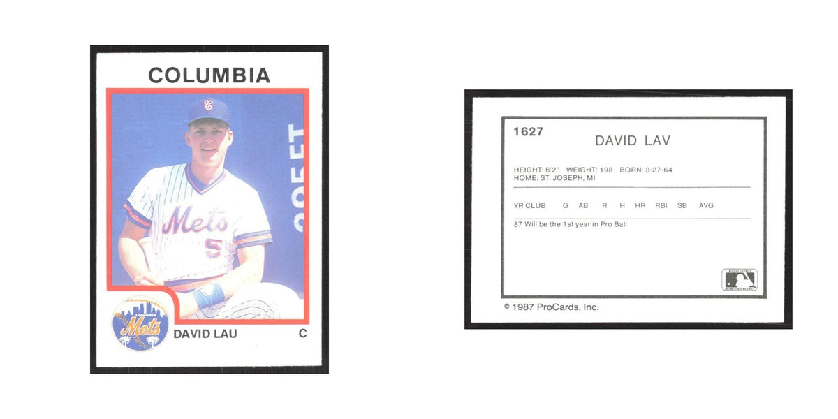 1987 ProCards Minor League David Lau Columbia Mets #1627