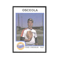 1987 ProCards Minor League Todd Credeur Osceola Astros #979
