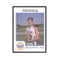 1987 ProCards Minor League Joe Schulte Osceola Astros #965
