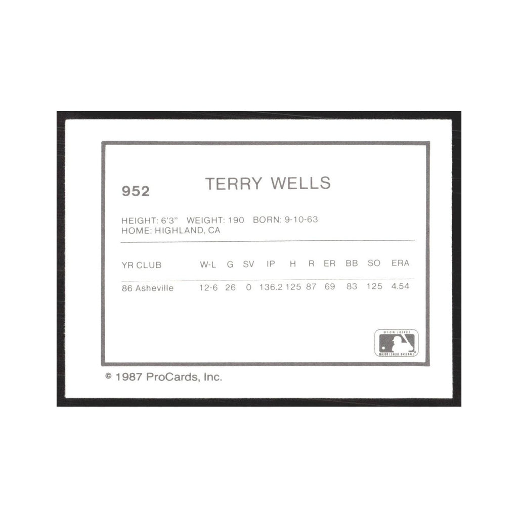 1987 ProCards Minor League Terry Wells Osceola Astros #952