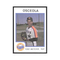 1987 ProCards Minor League Tony Metoyer Osceola Astros #963
