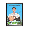 1967 Topps Tom Haller Giants #65