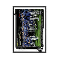 2025 Topps Kansas City Royals Royals #519