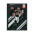 2005 Donruss Elite Rudi Johnson Bengals #19