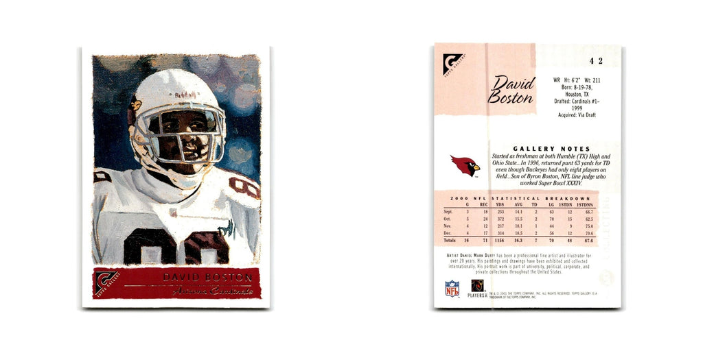 David Boston 2001 Topps Gallery #42 Arizona Cardinals Football Card NM