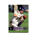Brad Johnson 2006 Upper Deck #107 Minnesota Vikings Football Card NM