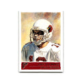 Jake Plummer 2001 Topps Gallery #17 Arizona Cardinals Football Card NM