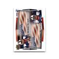 Stuart Dobbie Will Bates 2015 Upper Deck USA #120 USA Football Card NM