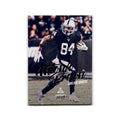 Antonio Brown 2019 Panini Luminance #23 Oakland Raiders Football Card NM
