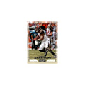 Vincent Jackson 2016 Panini Playoff #170 Tampa Bay Buccaneers Football Card NM