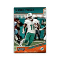 DeVante Parker 2018 Panini Playoff #117 Miami Dolphins Football Card NM
