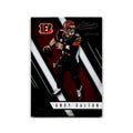 Andy Dalton 2016 Panini Absolute #21 Cincinnati Bengals Football Card NM