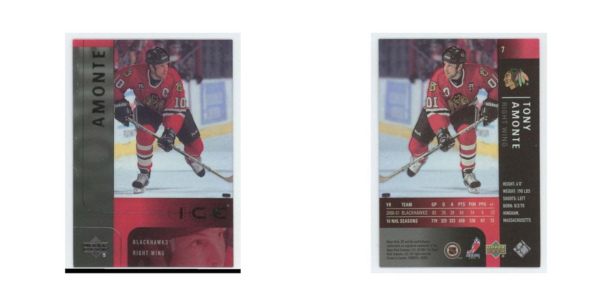 Tony Amonte 2001 Upper Deck Ice #7 Chicago Blackhawks Hockey Card NM