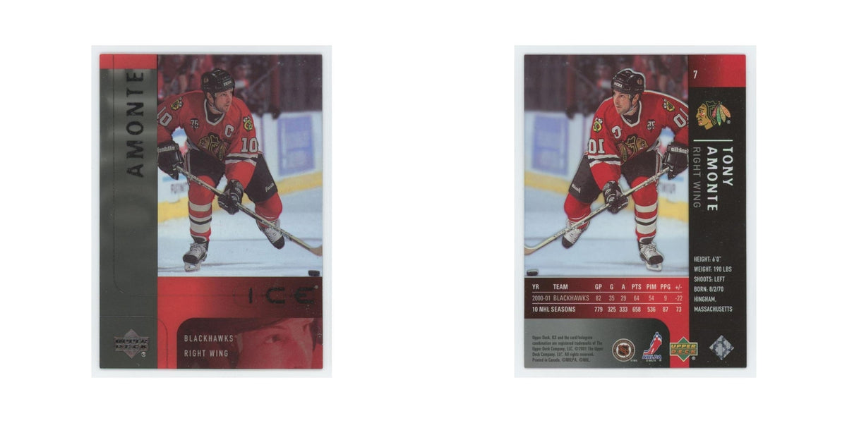 Tony Amonte 2001 Upper Deck Ice #7 Chicago Blackhawks Hockey Card NM