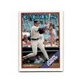 Jody Davis 1988 O-Pee-Chee #376 Chicago Cubs Baseball Card NM