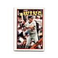 Tom Brunansky 1988 O-Pee-Chee #375 Minnesota Twins Baseball Card NM