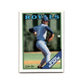 Bud Black 1988 O-Pee-Chee #301 Kansas City Royals Baseball Card NM