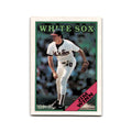 Jim Winn 1988 O-Pee-Chee #388 Chicago White Sox Baseball Card NM