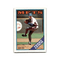Terry Leach 1988 O-Pee-Chee #391 New York Mets Baseball Card NM