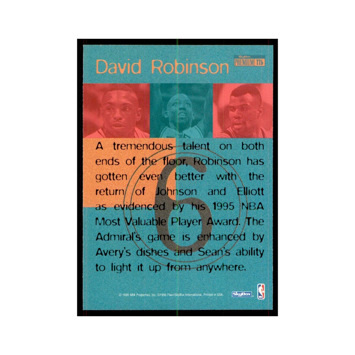 1996 SkyBox Premium David Robinson Basketball Cards #TT6