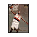 1996 SkyBox Premium Jermaine O'Neal Basketball Cards #94
