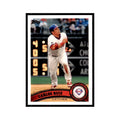 2011 Topps Carlos Ruiz Baseball Cards #219