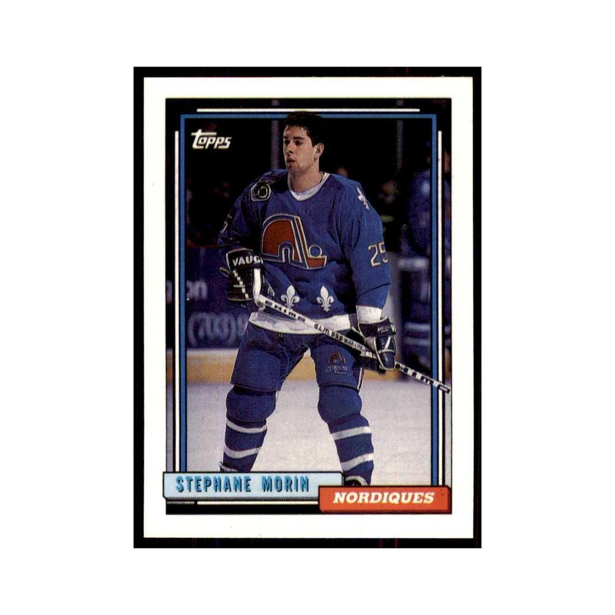Stephane Morin 1992 Topps #316 Hockey Cards Hockey Card NM