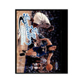 1998 Fleer Ultra Tom Gugliotta Basketball Cards #32.0