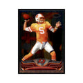 2013 Topps Chrome Josh Freeman Football Cards #110