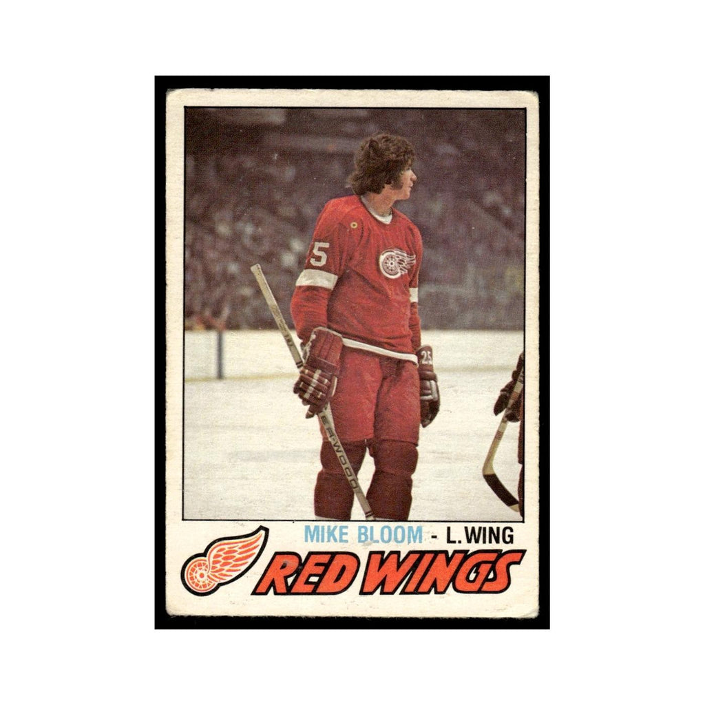 Mike Bloom 1977 O-Pee-Chee #375 Detroit Red Wings Hockey Card EX