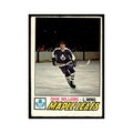 Dave Williams 1977 O-Pee-Chee (Damaged) #383 Toronto Maple Leafs Hockey Card VG