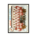 Detroit Red Wings 1978 O-Pee-Chee (Damaged) #197 Hockey Card Poor