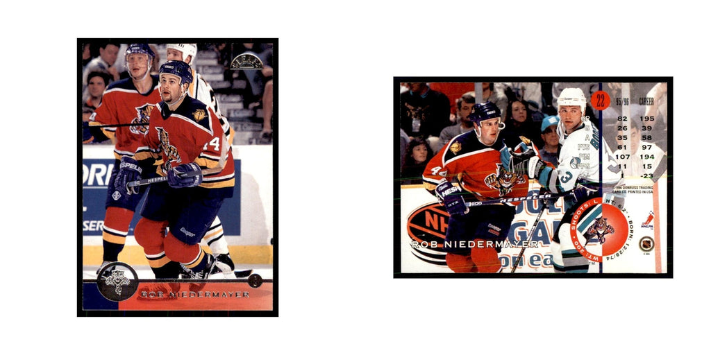 Rob Niedermayer 1996 Leaf #22 Hockey Cards Hockey Card NM