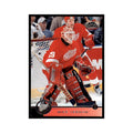 Mike Vernon 1996 Leaf #147 Hockey Cards Hockey Card NM