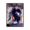 Felix Potvin 1996 Leaf #156 Hockey Cards Hockey Card NM